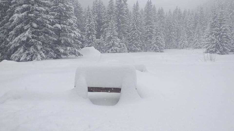 Хижа Ловна В Рила Panichishte Extérieur photo